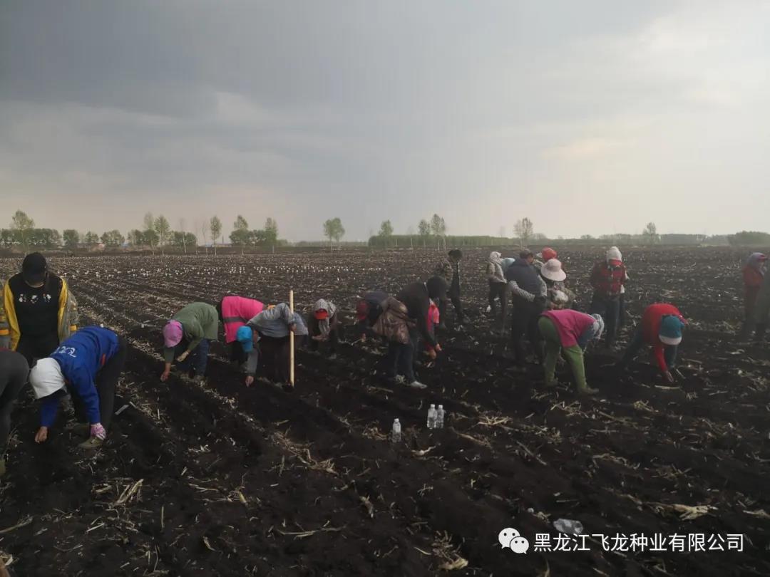 1640673262496242.jpg 16.jpg