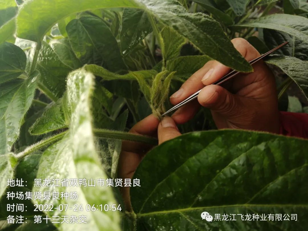 1658970555409920.jpg 9.jpg