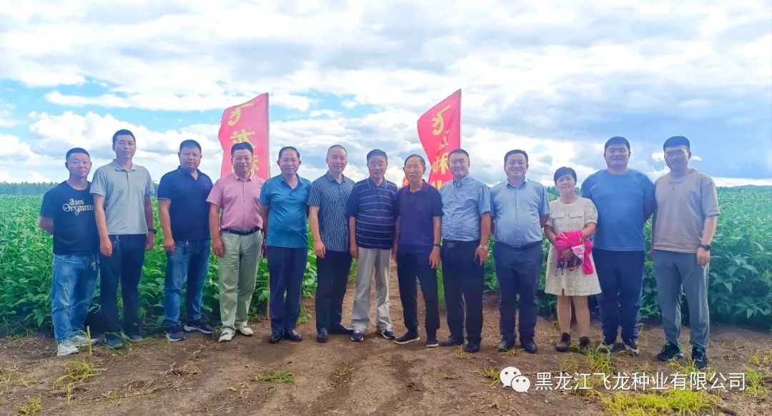 1660696694753658.jpg 12.jpg