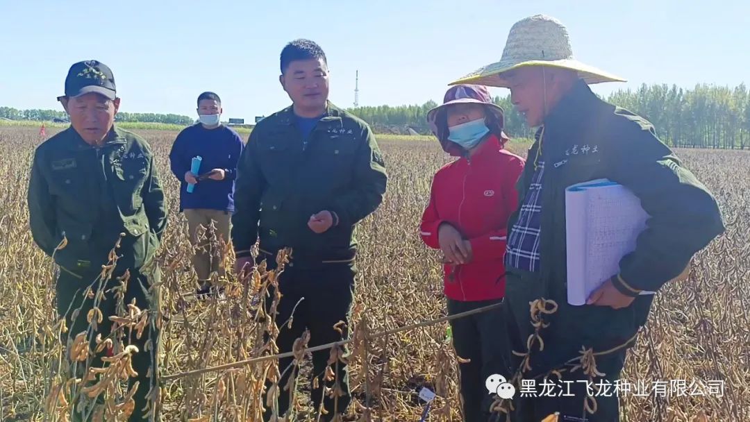 1673320938138347.jpg 5.jpg